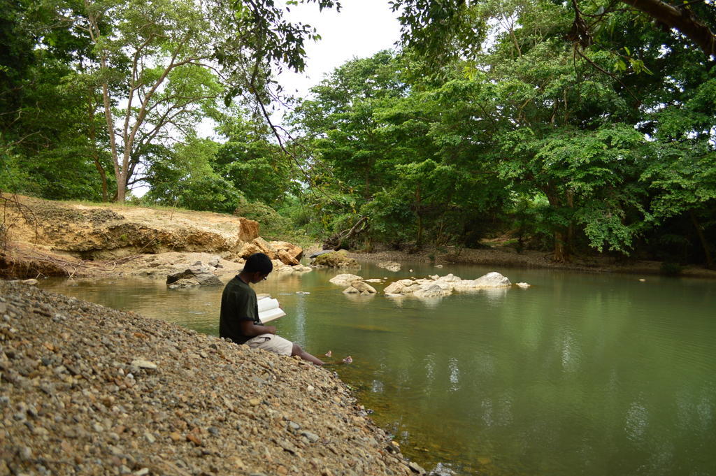 Wild Trails Udawalawe Hotel Luaran gambar